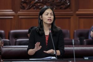 Walkie-talkie tidak diperakui berisiko ancam keselamatan, penerbangan – Teo Nie Ching