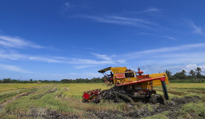 KPKM jamin kebajikan pesawah terpelihara, subsidi input kekal