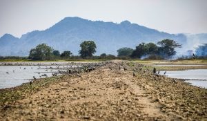 Gelombang haba: Orang ramai perlu had masa di luar bangunan, banyak minum air kosong – KKM