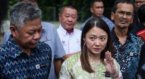 JWP wartakan empat lagi kawasan hijau, tanah lapang di KL -Hannah Yeoh