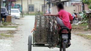 Akses kerja untuk pelarian jika diberi, tertakluk dasar dan kawalan ditetapkan kerajaan – KDN
