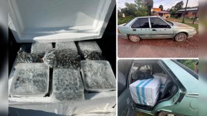 PGA gagalkan cubaan seludup benih kelapa sawit bernilai lebih RM90,000